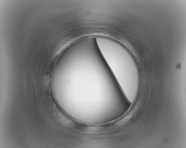 X0000092220985200709140918