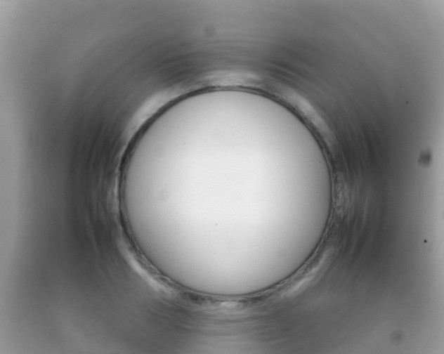 X0000092220986200709140918