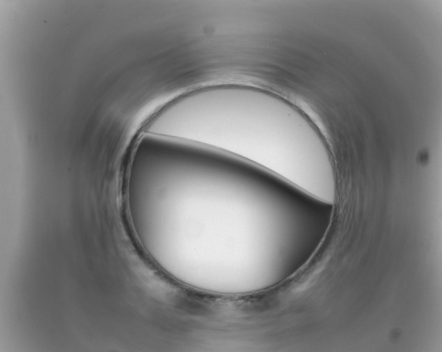 X0000092220987200709140918