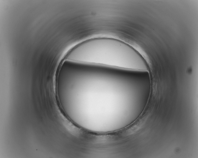 X0000092220988200709140918
