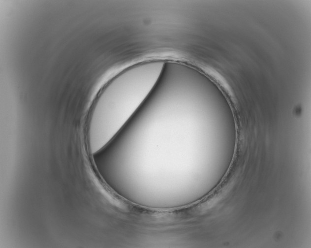 X0000092220989200709140918
