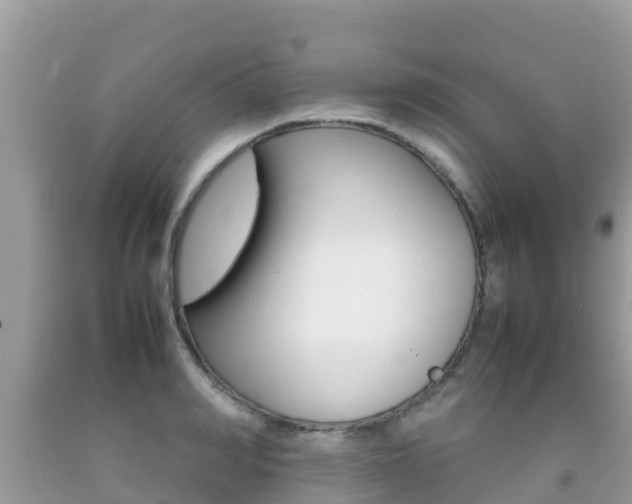 X0000092220990200709140918