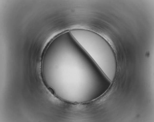 X0000092220992200709140918