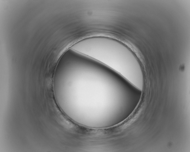 X0000092220993200709140918