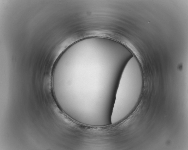 X0000092220994200709140918