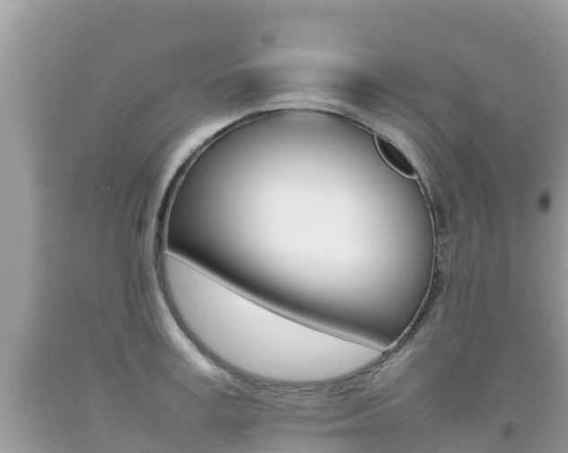 X0000092220995200709140918