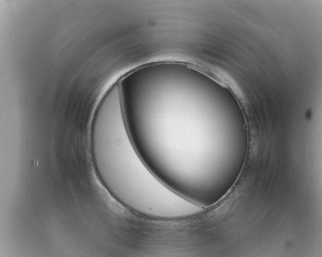 X0000092220996200709140918