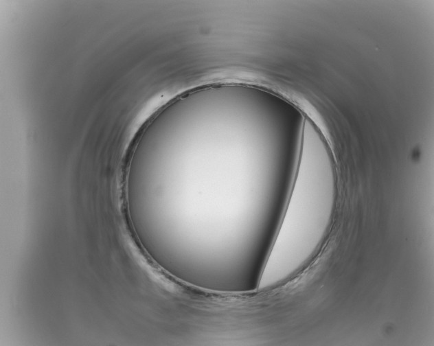 X0000092220997200709140918