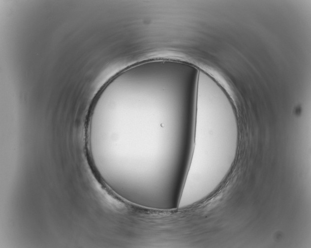 X0000092220999200709140918