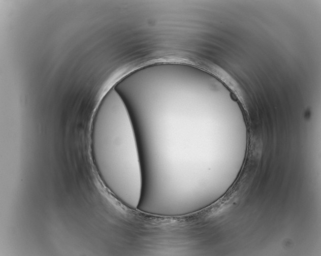 X0000092221002200709140918