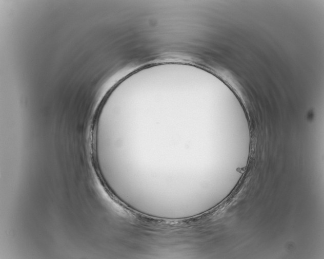 X0000092221003200709140918