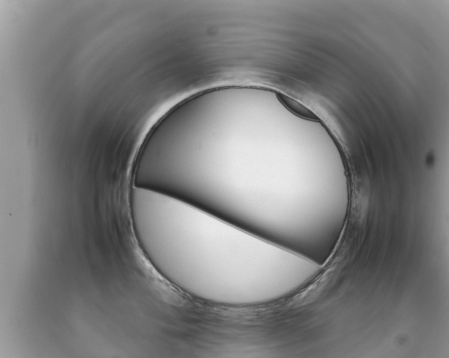 X0000092221004200709140918