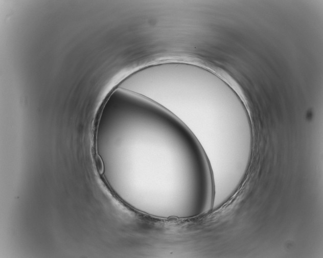 X0000092221005200709140918
