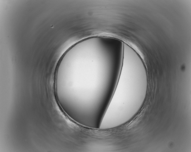 X0000092221007200709140918