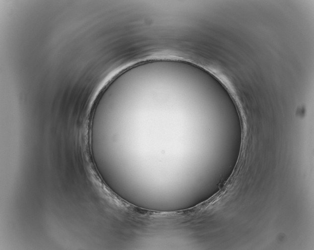 X0000092221008200709140918
