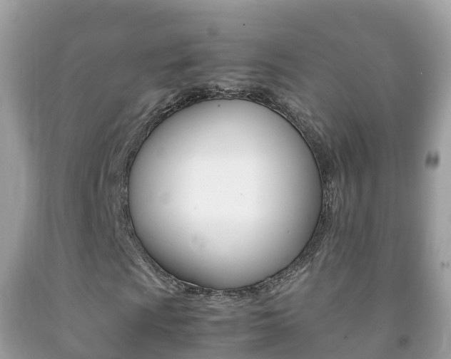 X0000092221009200709140917