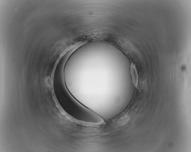 X0000092221010200709140917