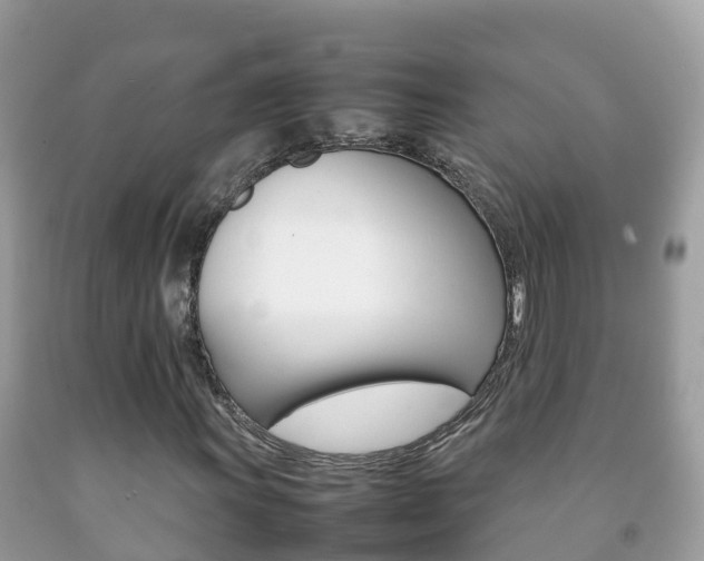 X0000092221011200709140917