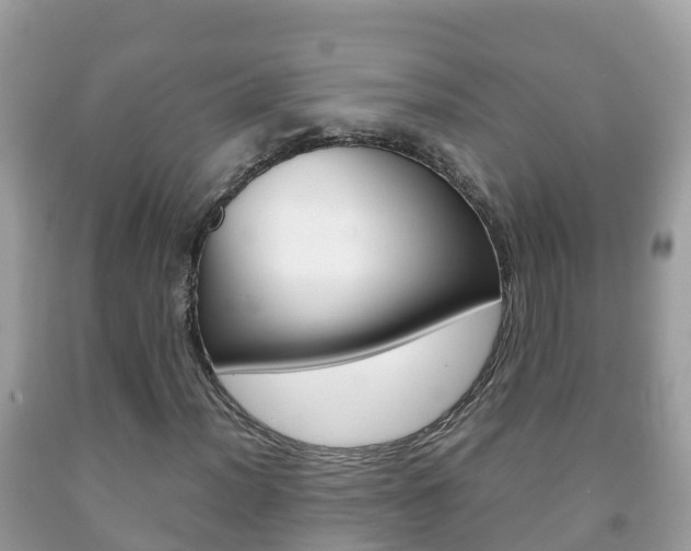 X0000092221012200709140917