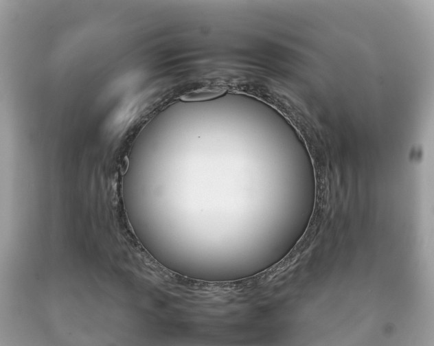 X0000092221013200709140917