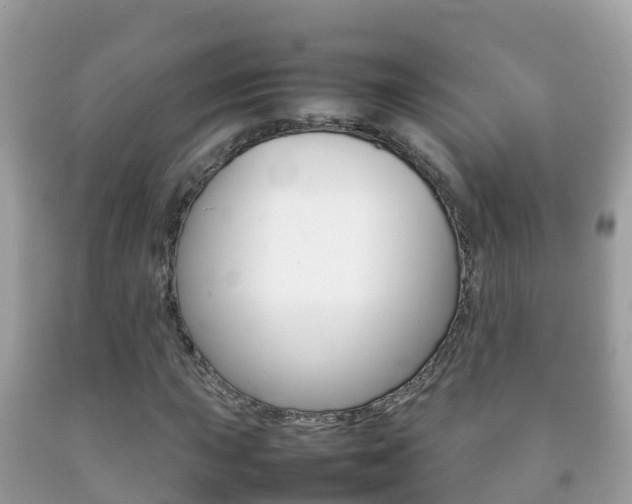 X0000092221015200709140917