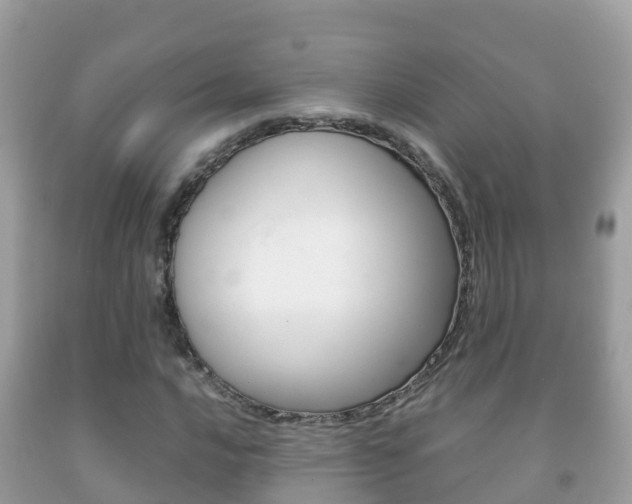 X0000092221016200709140917