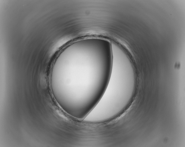 X0000092221018200709140917