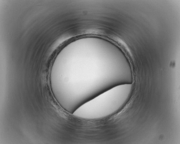 X0000092221019200709140917