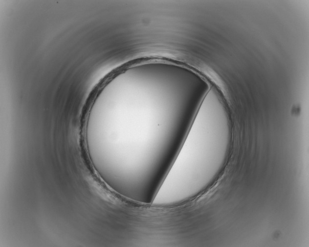 X0000092221020200709140917
