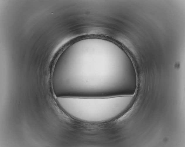 X0000092221021200709140917