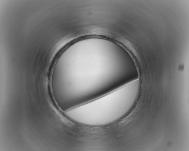X0000092221024200709140917