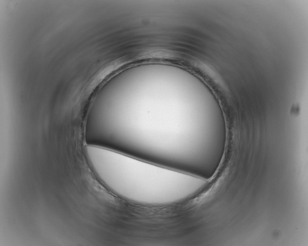 X0000092221025200709140917