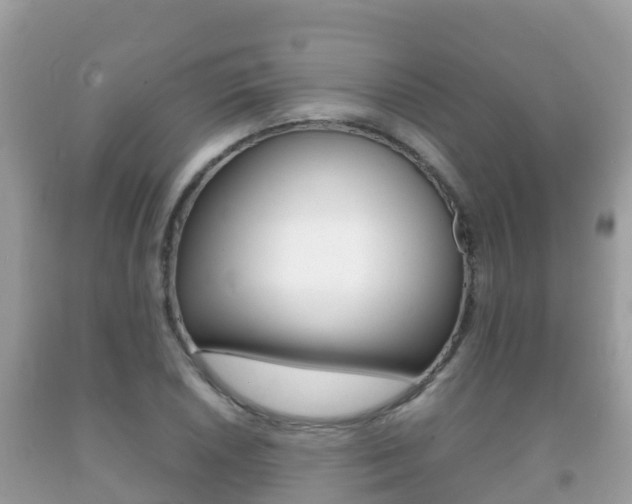 X0000092221026200709140917