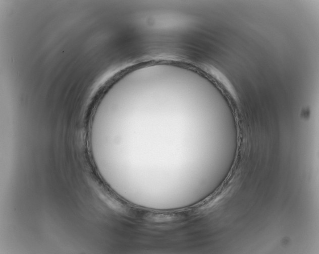 X0000092221027200709140917