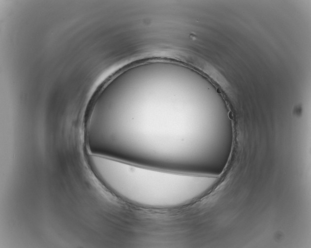 X0000092221028200709140917