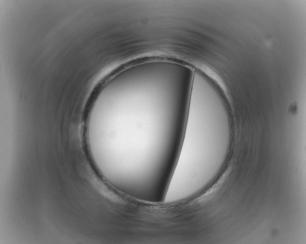 X0000092221029200709140917