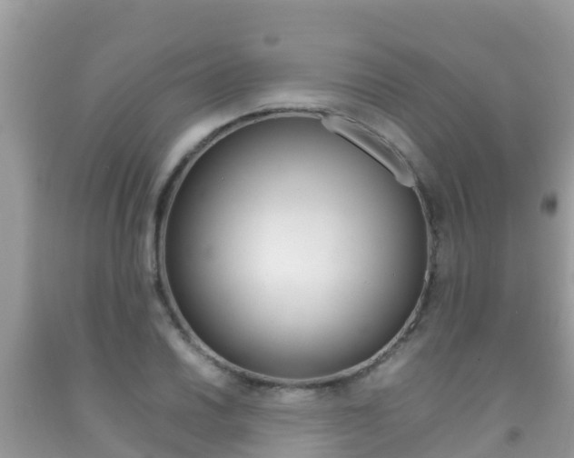 X0000092221030200709140917
