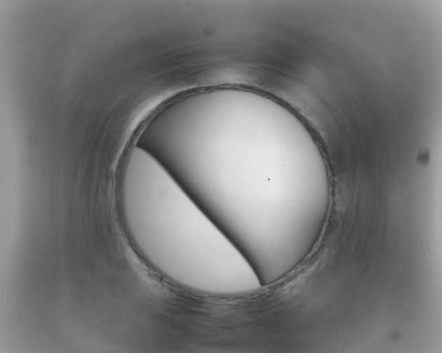 X0000092221031200709140917