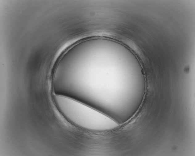 X0000092221032200709140917