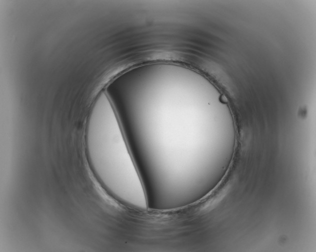 X0000092221033200709140917