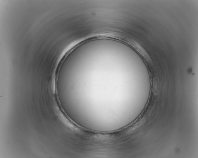 X0000092221036200709140917
