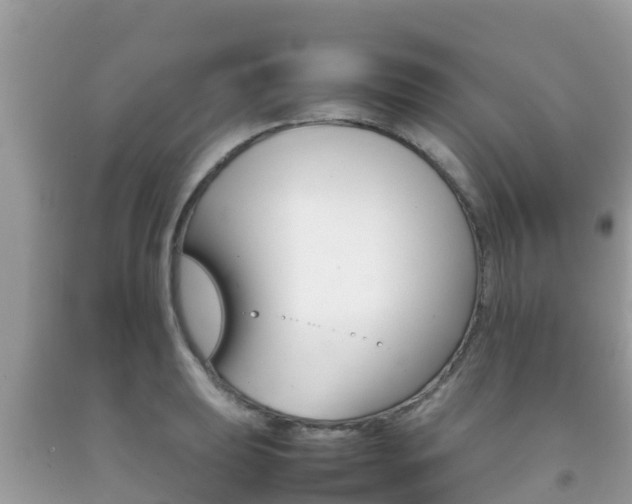 X0000092221039200709140917