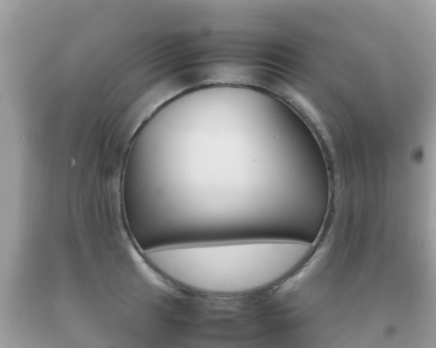 X0000092221041200709140917