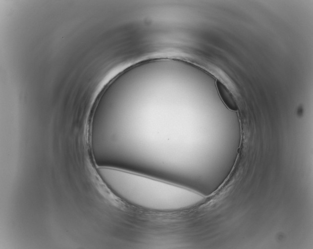 X0000092221044200709140917