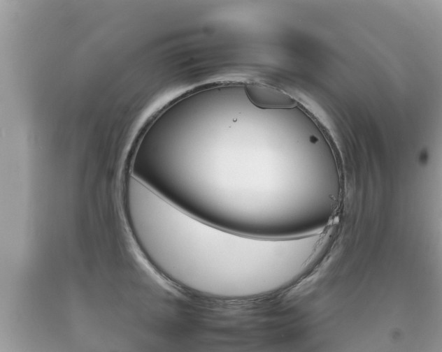 X0000092221045200709140917