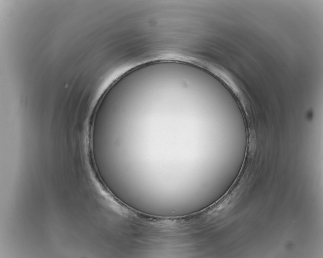 X0000092221048200709140917
