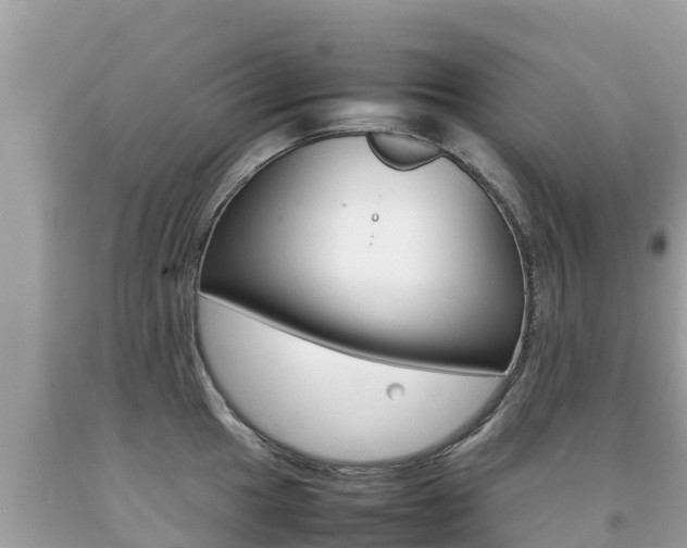 X0000092221049200709140918