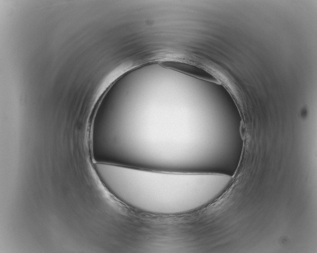 X0000092221050200709140918