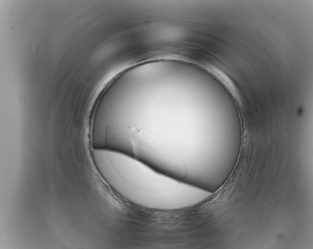 X0000092221051200709140918
