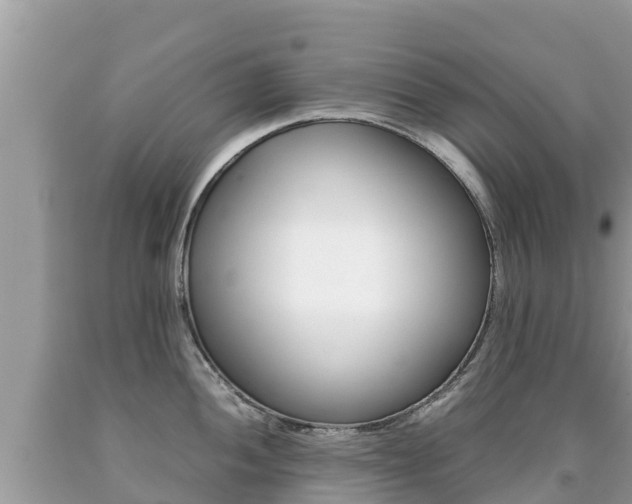X0000092221052200709140918